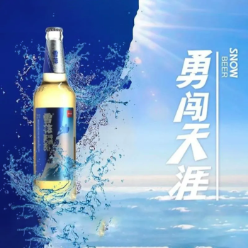 雪花 勇闯天涯雪花啤酒10度 580ml/瓶