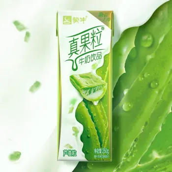蒙牛 真果粒 芦荟粒牛奶饮品 250g/盒